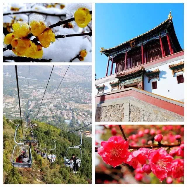 北京去哪里看梅花 可以来这几个景区踏雪寻梅[墙根网]