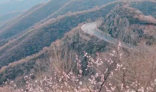 延庆这条路，惊艳了整个朋友圈[墙根网]