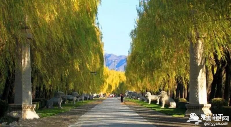 昌平绝美骑行路线 沿途风景超惊艳！[墙根网]