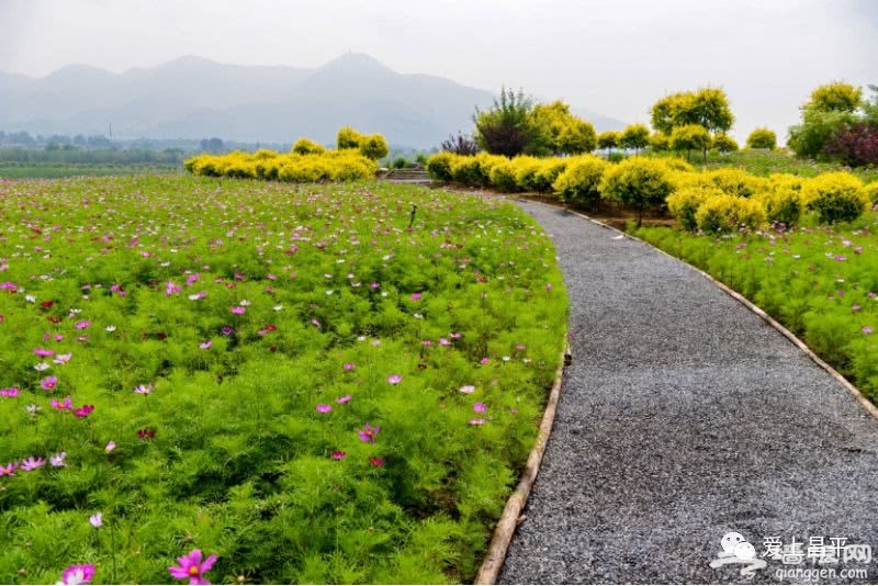 昌平绝美骑行路线 沿途风景超惊艳！[墙根网]