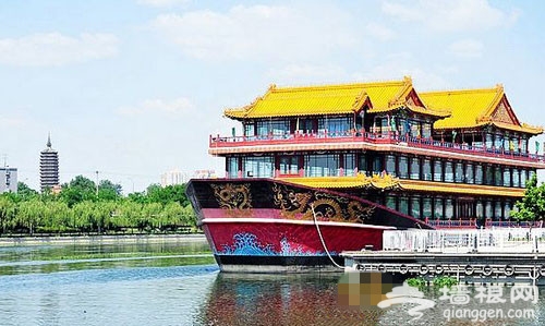 金福艺农:番茄联合国里的田间时光