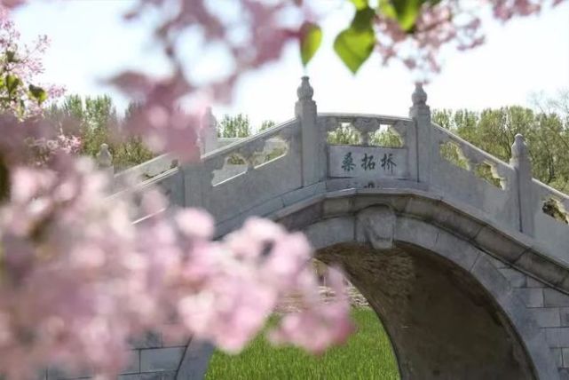 2021大兴安定桑椹旅游文化节如期而至，5·20开启“甜蜜之旅”[墙根网]