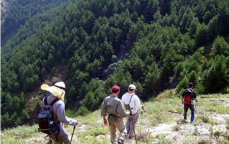户外旅行迷路怎么办？水源方向是关键[墙根网]