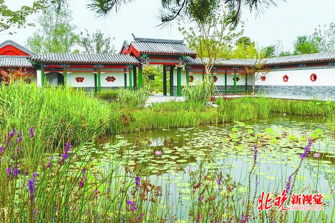 北京副中心城市绿心9月底开园，提前4个月落成，实现森林入城[墙根网]