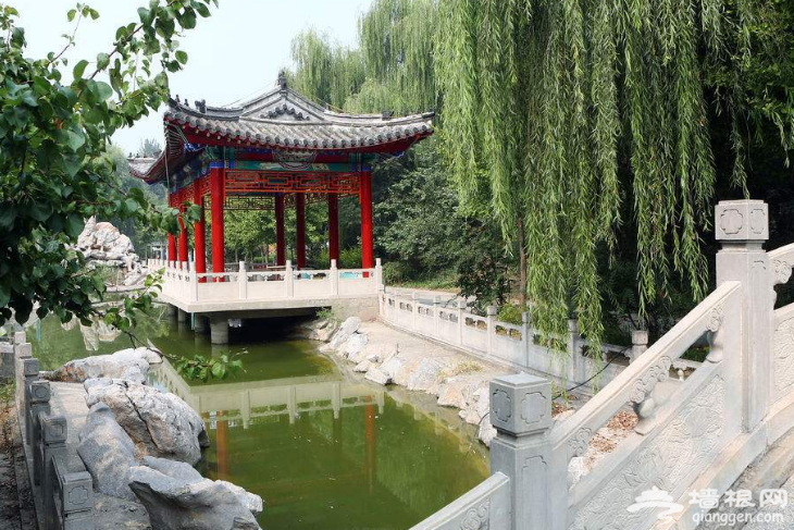 俯身田间地头，初秋大兴采摘乐[墙根网]