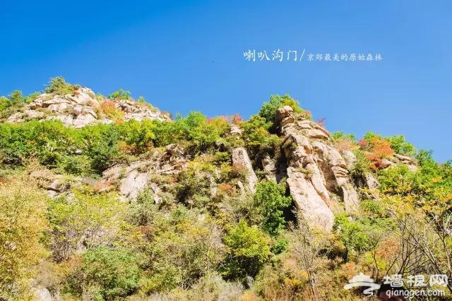 九月别约我 我去京郊最美的原始森林赏秋色了