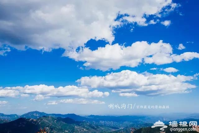 九月别约我 我去京郊最美的原始森林赏秋色了