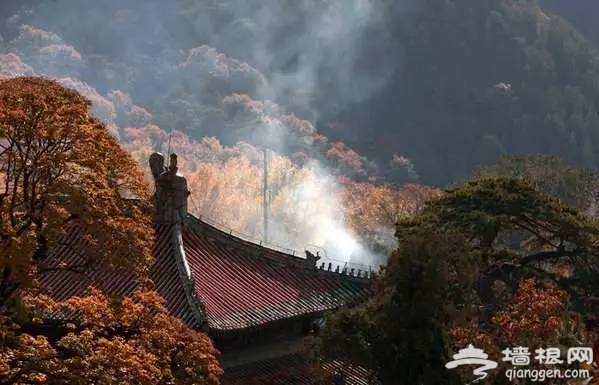 北京初秋最美骑行地图出炉 来场说走就走的骑行！[墙根网]
