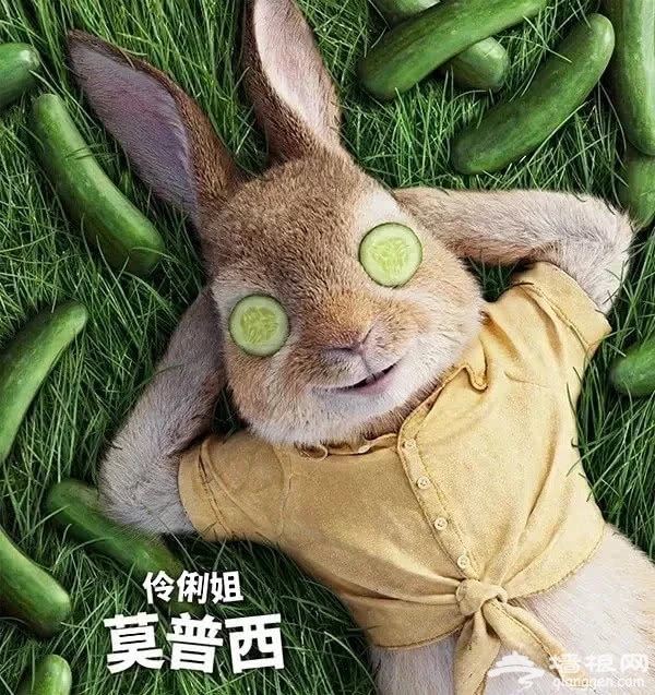 12.2，北京剧院，英国正版授权动漫舞台剧《比得兔-万圣节狂欢夜》[墙根网]