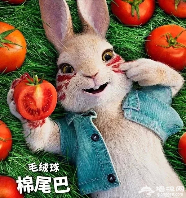 12.2，北京剧院，英国正版授权动漫舞台剧《比得兔-万圣节狂欢夜》[墙根网]